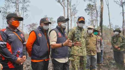 Gubernur Mirza Pertegas Percepatan Penanganan kebakaran hutan dan lahan (karhutla) di kawasan Taman Nasional Way Kambas (TNWK)